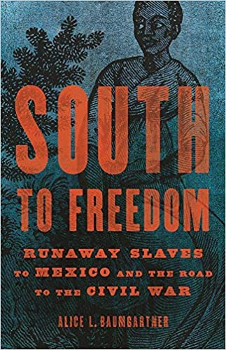 South to Freedom: Runaway Slaves to Mexico and the Road to the Civil War